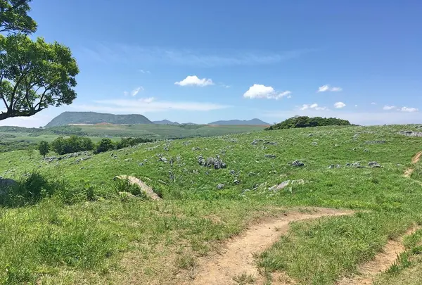 平尾台の写真・動画_image_326924