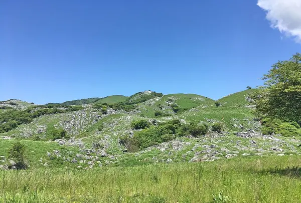 平尾台の写真・動画_image_326925