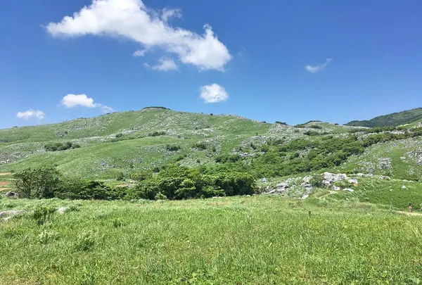 平尾台の写真・動画_image_326926