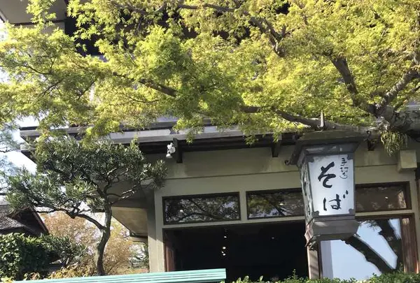 嵐山よしむらの写真・動画_image_326931