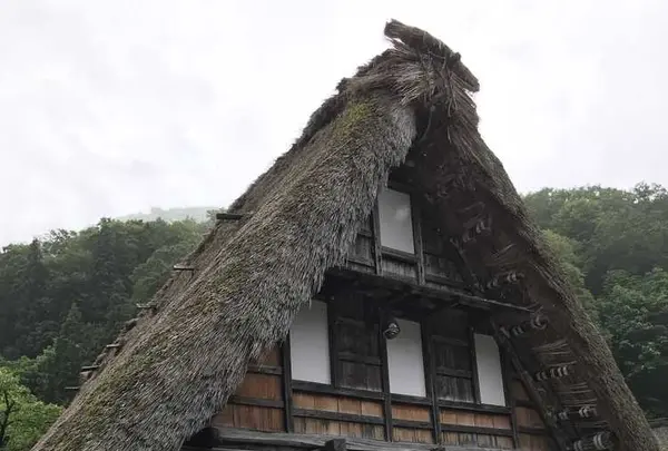 射水神社の写真・動画_image_326952