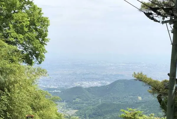 大山阿夫利神社 下社拝殿の写真・動画_image_326954