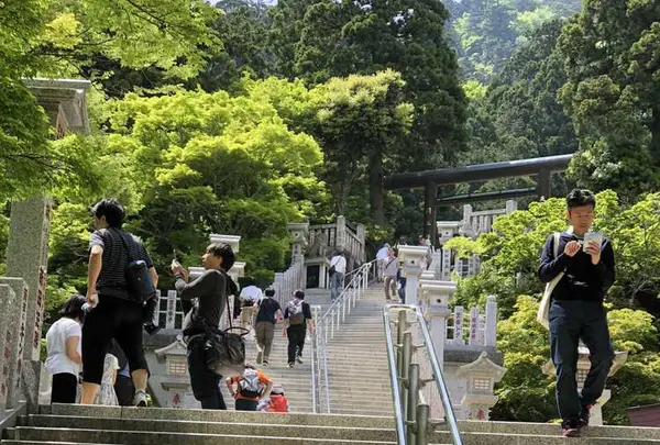 大山阿夫利神社 下社拝殿の写真・動画_image_326955
