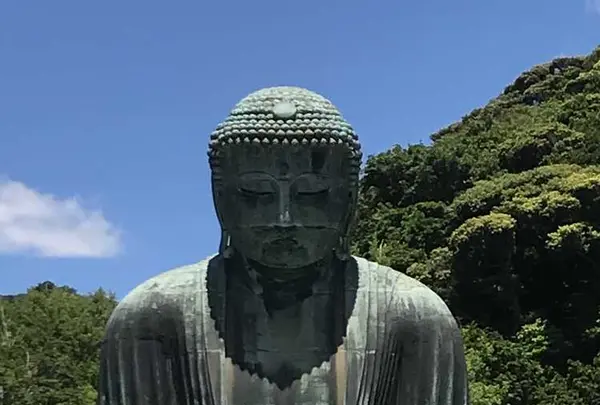 鎌倉大仏（高徳院）の写真・動画_image_327004