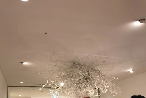 カップヌードルミュージアム 横浜の写真・動画_image_327049