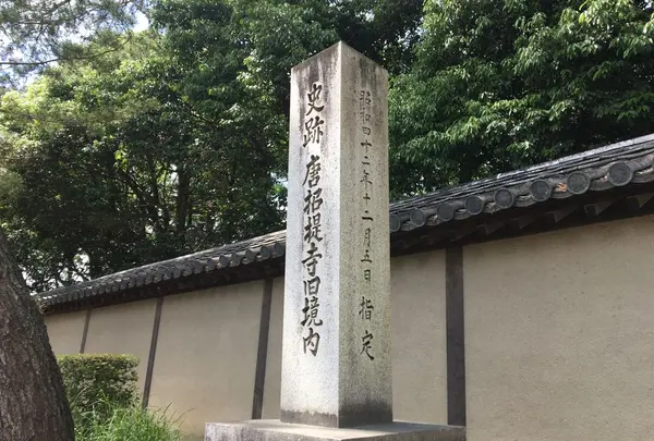 大和西大寺駅の写真・動画_image_327137