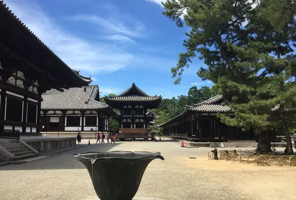 唐招提寺の写真・動画_image_327145