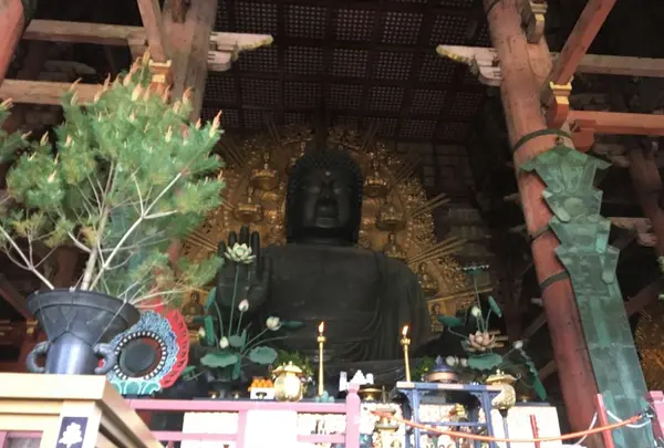 東大寺金堂（大仏殿）の写真・動画_image_327151