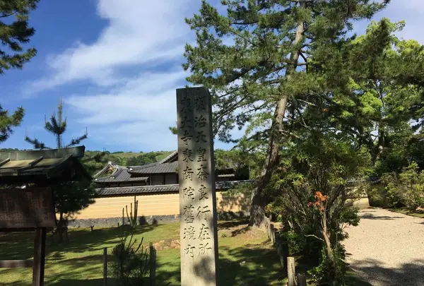 東大寺金堂（大仏殿）の写真・動画_image_327157