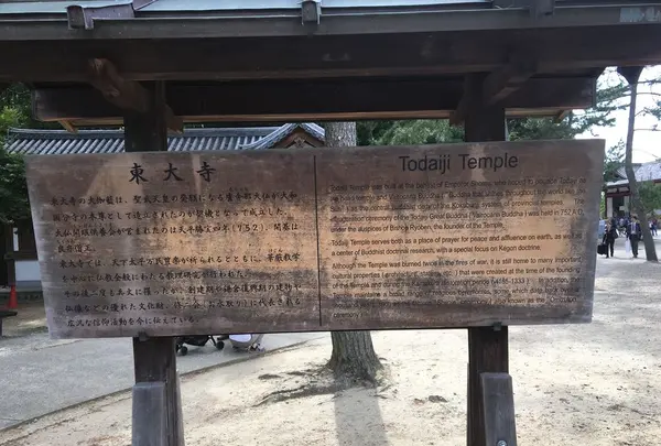 東大寺金堂（大仏殿）の写真・動画_image_327158
