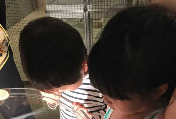 イオンモール幕張新都心 ファミリーモールの写真・動画_image_327208