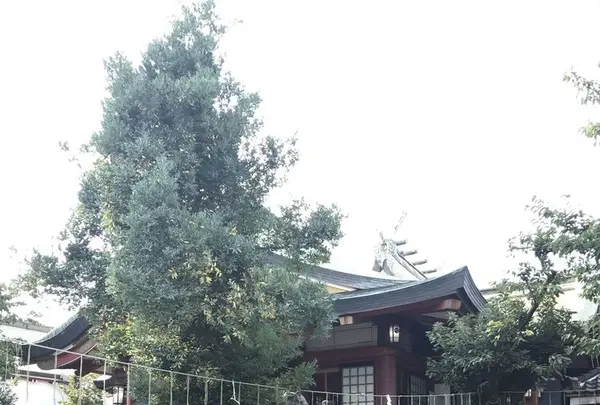 安倍晴明神社の写真・動画_image_327245