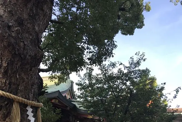 安倍晴明神社の写真・動画_image_327246