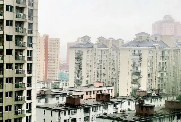 上海の写真・動画_image_327400