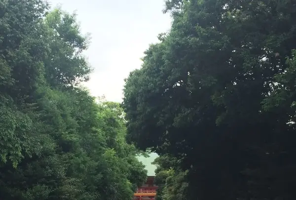 大宮公園の写真・動画_image_327422
