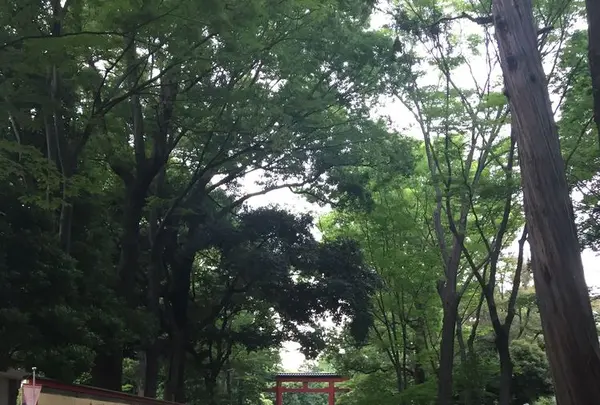 大宮公園の写真・動画_image_327423