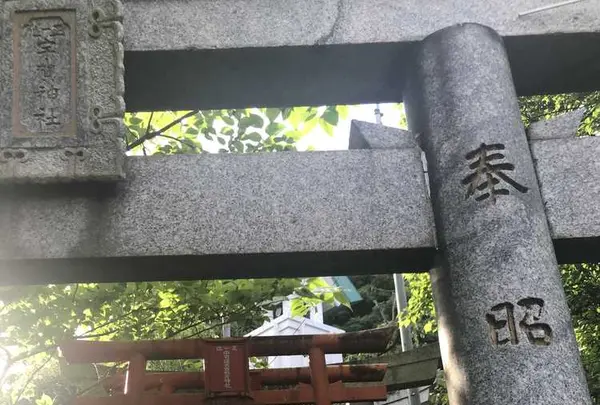 西公園の写真・動画_image_327611