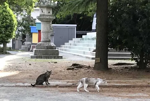 西公園の写真・動画_image_327613