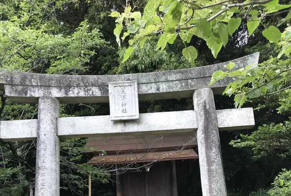 西公園の写真・動画_image_327619