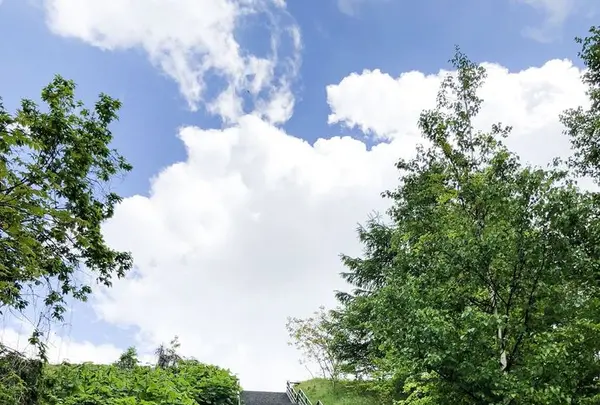 宮丘公園の写真・動画_image_328000
