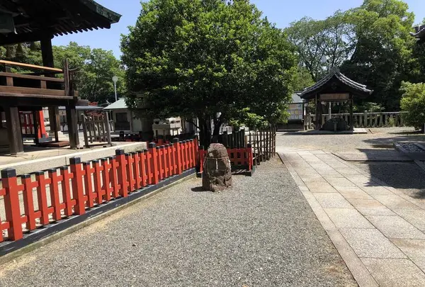 城山八幡宮の写真・動画_image_328014