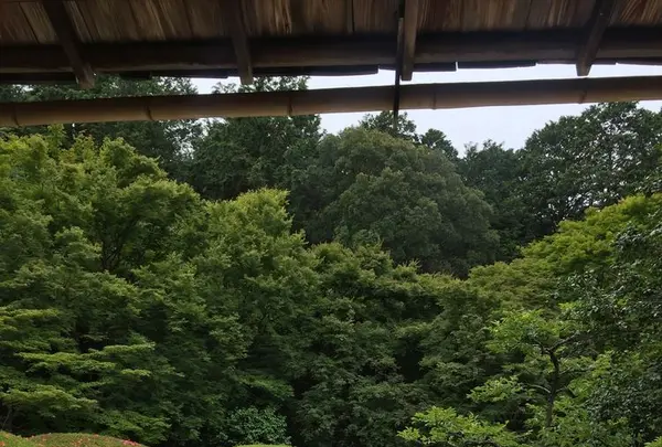 詩仙堂丈山寺の写真・動画_image_328306
