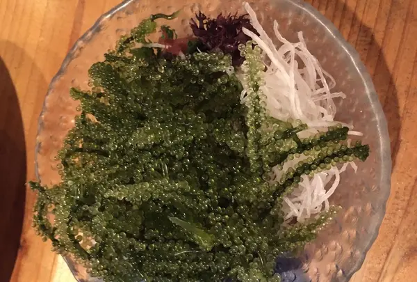 恩納村|ダイニング&泡盛Bar うら庭の写真・動画_image_328384