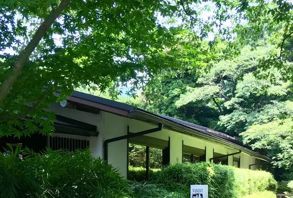 鉄板焼 しゃぶしゃぶ ステーキハウス 桂の写真・動画_image_328681