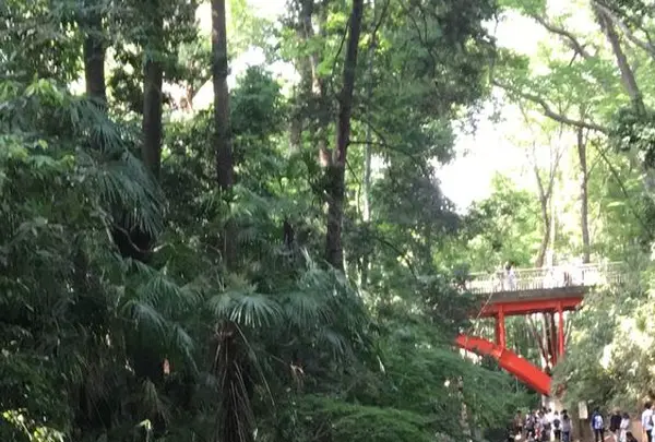 等々力渓谷の写真・動画_image_328859