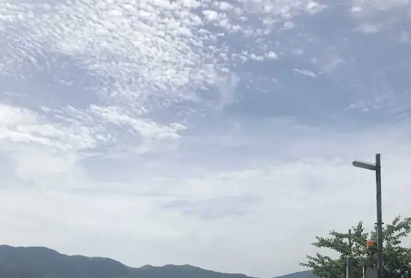 南阿蘇水の生まれる里白水高原駅の写真・動画_image_329121