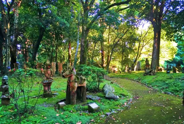 はにわ園の写真・動画_image_329755