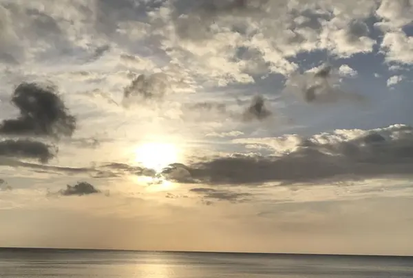 奄美市大浜海浜公園の写真・動画_image_329850