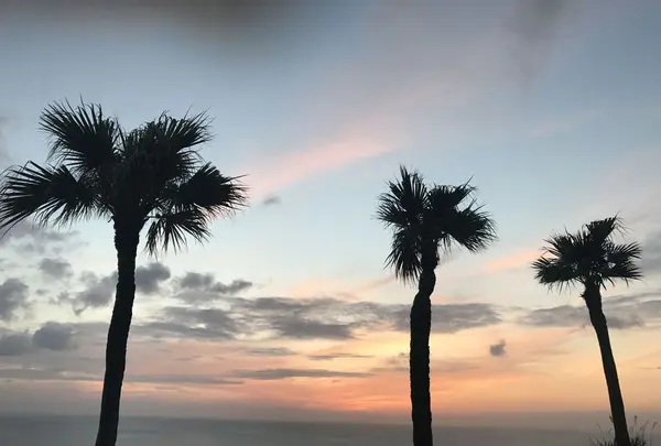 奄美市大浜海浜公園の写真・動画_image_329852