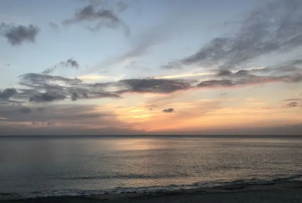 奄美市大浜海浜公園の写真・動画_image_329853