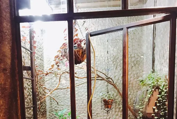 COFFEE HALL くぐつ草の写真・動画_image_329857