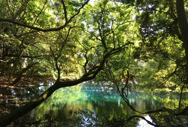 丸池様の写真・動画_image_329973