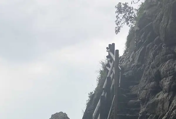 大御神社の写真・動画_image_330213