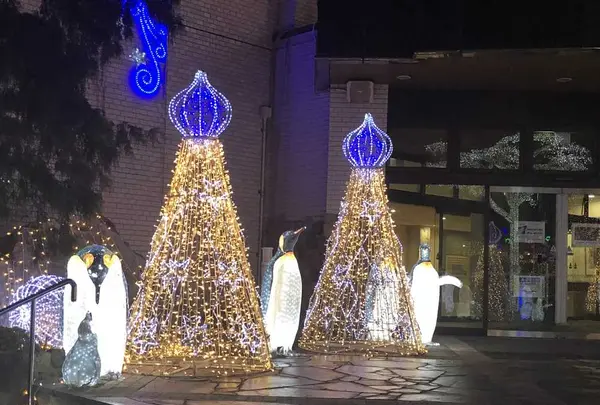 杉乃井ホテルの写真・動画_image_330230