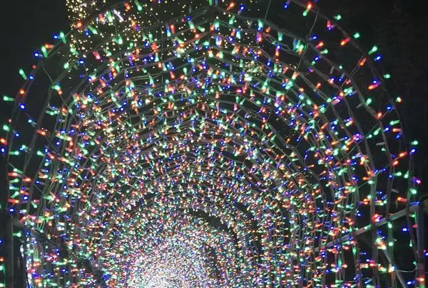 杉乃井ホテルの写真・動画_image_330232