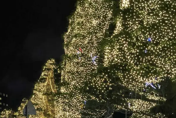 杉乃井ホテルの写真・動画_image_330236