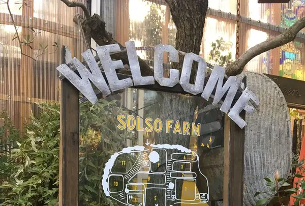 ソルソファームの写真・動画_image_330285