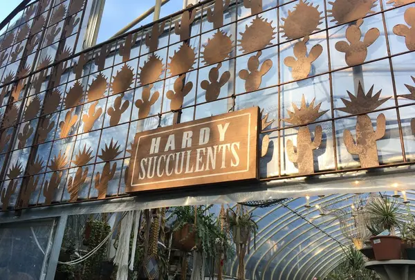 ソルソファームの写真・動画_image_330290