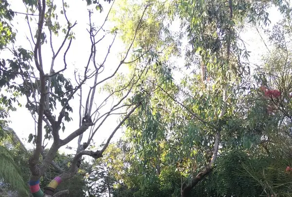 ソルソファームの写真・動画_image_330291