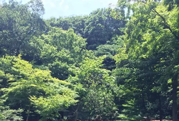 六義園の写真・動画_image_330365