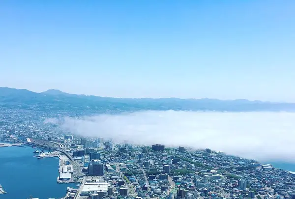 函館山展望台の写真・動画_image_330384