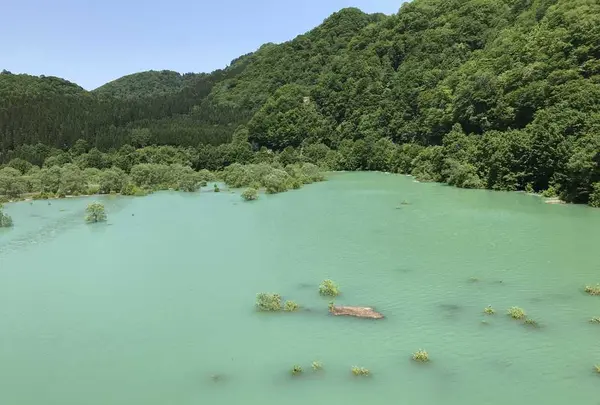 玉川ダムの写真・動画_image_330407