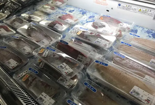 道の駅・海の駅 宇土マリーナの写真・動画_image_330495