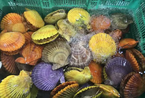 道の駅・海の駅 宇土マリーナの写真・動画_image_330497