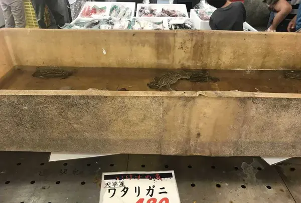 道の駅・海の駅 宇土マリーナの写真・動画_image_330499