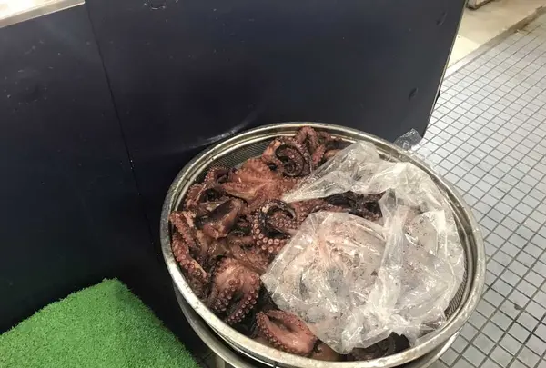 道の駅・海の駅 宇土マリーナの写真・動画_image_330500